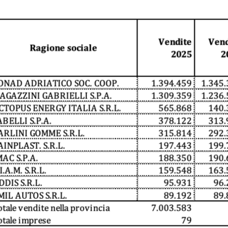 La classifica delle imprese marchigiane secondo la Fondazione Merloni: sul podio Ariston, Conad Adriatico e Magazzini Gabrielli La classifica delle imprese marchigiane secondo la Fondazione Merloni: sul podio Ariston, Conad Adriatico e Magazzini Gabrielli