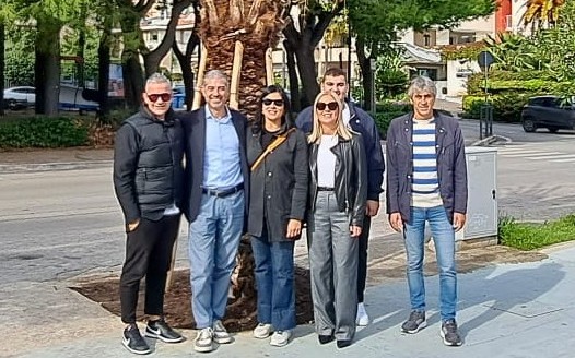 Due nuove palme sul lungomare, il gesto della Fondazione Sambenedettese