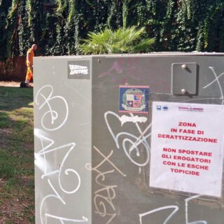 Emergenza ratti, le segnalazioni si moltiplicano anche a Porto d’Ascoli, Mozzoni: «Serve una task force» Emergenza ratti, le segnalazioni si moltiplicano anche a Porto d’Ascoli, Mozzoni: «Serve una task force»