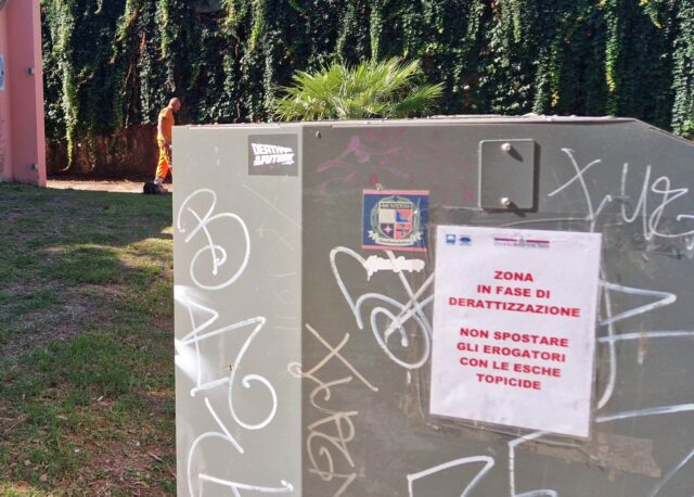 Emergenza ratti, le segnalazioni si moltiplicano anche a Porto d’Ascoli, Mozzoni: «Serve una task force» Emergenza ratti, le segnalazioni si moltiplicano anche a Porto d’Ascoli, Mozzoni: «Serve una task force»